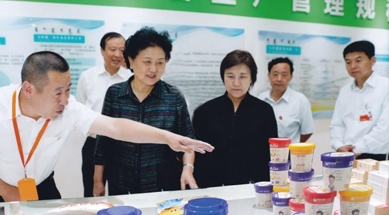 原中共中央政治局委員、國務院副總理劉延東視察我公司